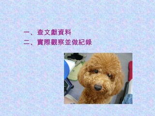 　　一、查文獻資料
　　二、實際觀察並做紀錄
 