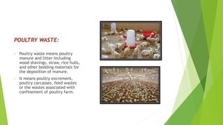 POULTRY WASTE:
• Poultry waste means poultry
manure and litter including
wood shavings, straw, rice hulls,
and other bedding materials for
the deposition of manure.
• It means poultry excrement,
poultry carcasses, feed wastes
or the wastes associated with
confinement of poultry farm.
 