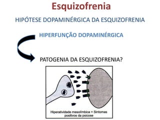 Esquizofrenia
HIPÓTESE DOPAMINÉRGICA DA ESQUIZOFRENIA
HIPERFUNÇÃO DOPAMINÉRGICA

PATOGENIA DA ESQUIZOFRENIA?

 