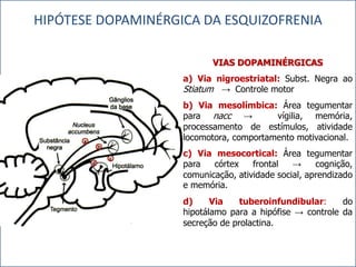 HIPÓTESE DOPAMINÉRGICA DA ESQUIZOFRENIA
VIAS DOPAMINÉRGICAS
a) Via nigroestriatal: Subst. Negra ao
Stiatum → Controle motor
b) Via mesolímbica: Área tegumentar
para nacc →
vígilia, memória,
processamento de estímulos, atividade
locomotora, comportamento motivacional.
c) Via mesocortical: Área tegumentar
para
córtex
frontal
→
cognição,
comunicação, atividade social, aprendizado
e memória.

d)
Via
tuberoinfundibular:
do
hipotálamo para a hipófise → controle da
secreção de prolactina.

 