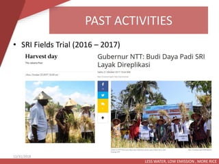 PAST ACTIVITIES
LESS WATER, LOW EMISSION , MORE RICE
12/31/2018
• SRI Fields Trial (2016 – 2017)
 