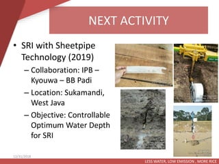 NEXT ACTIVITY
LESS WATER, LOW EMISSION , MORE RICE
12/31/2018
• SRI with Sheetpipe
Technology (2019)
– Collaboration: IPB ...