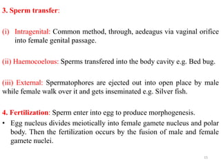 3. Sperm transfer:
(i) Intragenital: Common method, through, aedeagus via vaginal orifice
into female genital passage.
(ii) Haemocoelous: Sperms transfered into the body cavity e.g. Bed bug.
(iii) External: Spermatophores are ejected out into open place by male
while female walk over it and gets inseminated e.g. Silver fish.
4. Fertilization: Sperm enter into egg to produce morphogenesis.
• Egg nucleus divides meiotically into female gamete nucleus and polar
body. Then the fertilization occurs by the fusion of male and female
gamete nuclei.
15
 