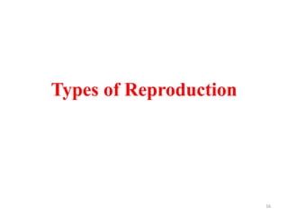 Types of Reproduction
16
 