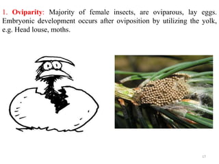 1. Oviparity: Majority of female insects, are oviparous, lay eggs.
Embryonic development occurs after oviposition by utilizing the yolk,
e.g. Head louse, moths.
17
 