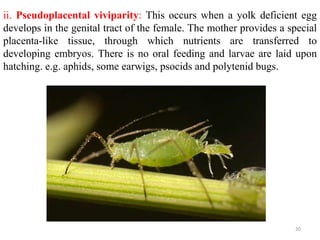 ii. Pseudoplacental viviparity: This occurs when a yolk deficient egg
develops in the genital tract of the female. The mother provides a special
placenta-like tissue, through which nutrients are transferred to
developing embryos. There is no oral feeding and larvae are laid upon
hatching. e.g. aphids, some earwigs, psocids and polytenid bugs.
20
 