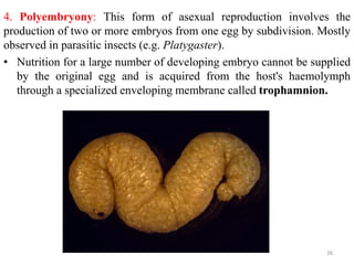 Reproductive system | PPTX