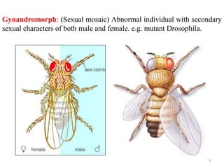 Gynandromorph: (Sexual mosaic) Abnormal individual with secondary
sexual characters of both male and female. e.g. mutant Drosophila.
3
 