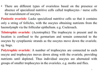 • There are different types of ovarioless based on the presence or
absence of specialized nutritive cells called trophocytes / nurse cells
for nourishment of oocytes.
Paniostic ovariole: Lacks specialized nutritive cells so that it contains
only a string of follicles, with the oocytes obtaining nutrients from the
haemolymph via the follicular epithelium. e.g. Cockroach.
Telotrophic ovariole: (Acrotrophic) The trophocyte is present and its
location is confined to the germarium and remain connected to the
oocytes by cytoplasmic strands as the oocytes move down the ovariole.
eg. bugs.
Polytrophic ovariole: A number of trophocytes are connected to each
oocyte and trophocytes moves down along with the ovariole, providing
nutrients until depleted. Thus individual oocytes are alternated with
groups of smaller trophocytes in the ovarioles. e.g. moths and flies.
9
 