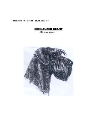 Standard FCI N°181 / 18.04.2007 / F

SCHNAUZER GEANT
(Riesenschnauzer)

 