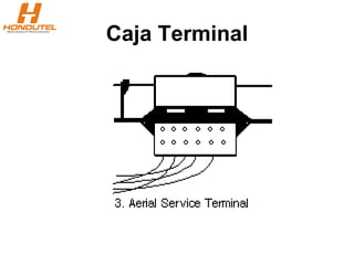 Caja Terminal
 
