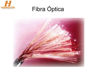 Fibra Óptica
 