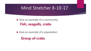 Mind Stretcher 8-10-17
 Give an example of a community:
 Give an example of a population:
Fish, seagulls, crabs
Group of crabs
 