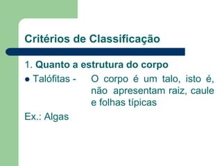 Critérios de Classificação
1. Quanto a estrutura do corpo
 Talófitas - O corpo é um talo, isto é,
não apresentam raiz, caule
e folhas típicas
Ex.: Algas
 
