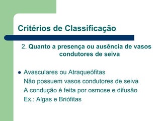 Critérios de Classificação
2. Quanto a presença ou ausência de vasos
condutores de seiva
 Avasculares ou Atraqueófitas
Não possuem vasos condutores de seiva
A condução é feita por osmose e difusão
Ex.: Algas e Briófitas
 