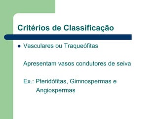 Critérios de Classificação
 Vasculares ou Traqueófitas
Apresentam vasos condutores de seiva
Ex.: Pteridófitas, Gimnospermas e
Angiospermas
 