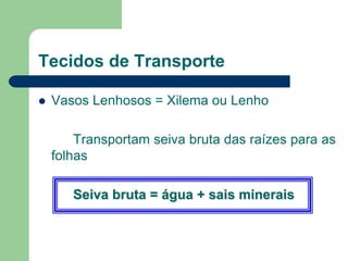 Tecidos de Transporte
 Vasos Lenhosos = Xilema ou Lenho
Transportam seiva bruta das raízes para as
folhas
Seiva bruta = água + sais minerais
 