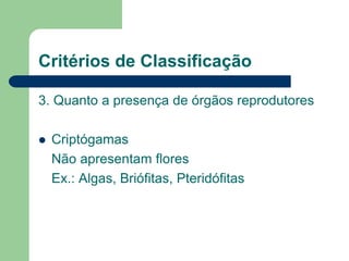 Critérios de Classificação
3. Quanto a presença de órgãos reprodutores
 Criptógamas
Não apresentam flores
Ex.: Algas, Briófitas, Pteridófitas
 