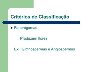 Critérios de Classificação
 Fanerógamas
Produzem flores
Ex.: Gimnospermas e Angiospermas
 