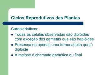 Ciclos Reprodutivos das Plantas
Características:
 Todas as células observadas são diplóides
com exceção dos gametas que são haplóides
 Presença de apenas uma forma adulta que é
diplóide
 A meiose é chamada gamética ou final
 