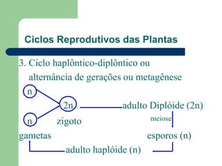 Ciclos Reprodutivos das Plantas
3. Ciclo haplôntico-diplôntico ou
alternância de gerações ou metagênese
n
2n adulto Diplóide (2n)
n zigoto meiose
gametas esporos (n)
adulto haplóide (n)
 
