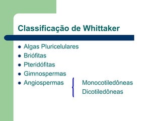 Classificação de Whittaker
 Algas Pluricelulares
 Briófitas
 Pteridófitas
 Gimnospermas
 Angiospermas Monocotiledôneas
Dicotiledôneas
 