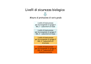 Livelli di sicurezza biologica
Misure di protezione di vario grado
Livello di biosicurezza
per microrganismi di gruppo 1
BSL 1 – Laboratorio di base
Livello di biosicurezza
per microrganismi di gruppo 2per microrganismi di gruppo 2
BSL 2 – Laboratorio di base
Livello di biosicurezza
per microrganismi di gruppo 3
BSL 3 – Laboratorio di
sicurezza
Livello di biosicurezza
per microrganismi di gruppo 4
BSL 4 – Laboratorio di
massima sicurezza
 