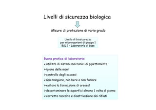 Livelli di sicurezza biologica
Misure di protezione di vario grado
Livello di biosicurezza
per microrganismi di gruppo 1
BSL 1 – Laboratorio di base
Buona pratica di laboratorio:
utilizzo di sistemi meccanici di pipettamento
igiene delle mani
controllo degli accessi
non mangiare, non bere e non fumare
evitare la formazione di areosol
decontaminare le superfici almeno 1 volta al giorno
corretta raccolta e disattivazione dei rifiuti
 