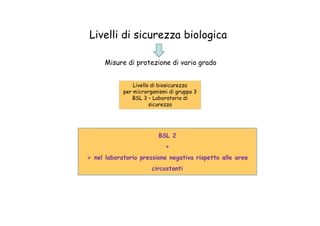 Livelli di sicurezza biologica
Misure di protezione di vario grado
Livello di biosicurezza
per microrganismi di gruppo 3
BSL 3 – Laboratorio di
sicurezza
BSL 2
+
nel laboratorio pressione negativa rispetto alle aree
circostanti
 