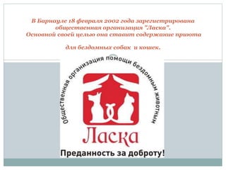 В Барнауле 18 февраля 2002 года зарегистрирована
общественная организация "Ласка".
Основной своей целью она ставит содержание приюта
для бездомных собак и кошек.
 