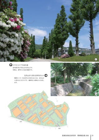 A


メタセコイアの並木道
並木道の先に写る山が五月山です。
写真は、南門からの並木風景です。



        五月山から流れる所内の小川
 関西センターのほぼ中心を流れる小川は、五月山か
 ら流れる八王子川です。最終的には猪名川に合流し
 ます。




                                                       B




                           産業技術総合研究所　環境報告書 2006   29
 