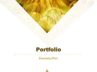 Portfolio
Xiaoxiang Zhao
 