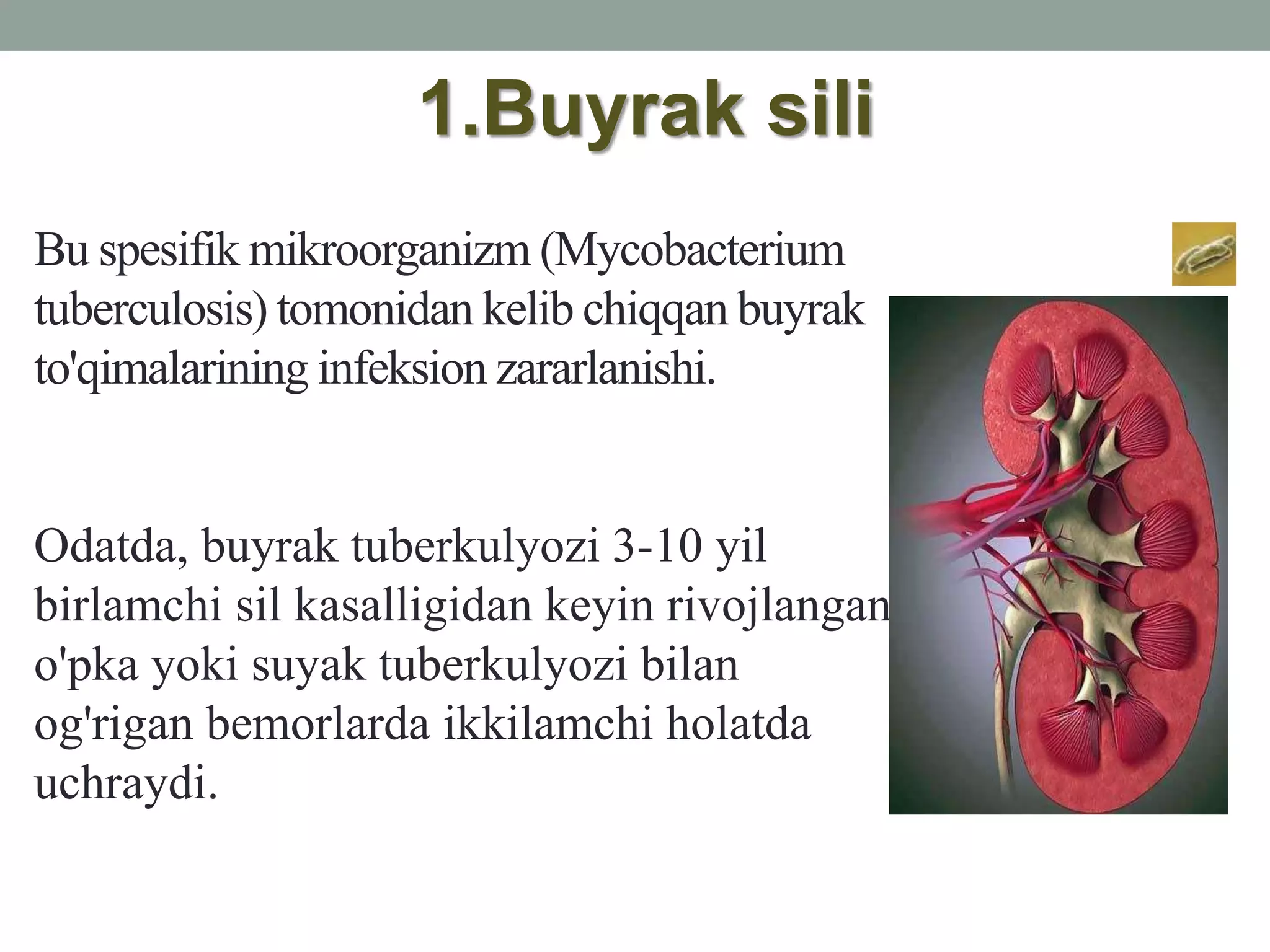 Jinsiy opka Jinsiy opka