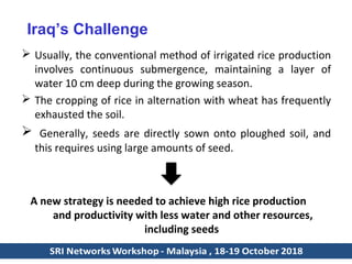 Iraq’s Challenge
 Usually, the conventional method of irrigated rice production
involves continuous submergence, maintain...