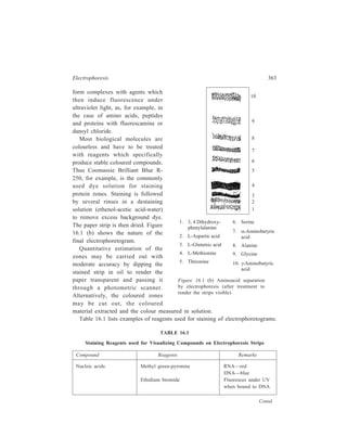 364 Separation Chemistry 
Compound Reagents Remarks 
Silver stains Very sensitive for 
DNA and RNA 
Peptides C1O2 or NaOCl chlorination Reacts with all—NH2 
followed by KI-starch or compounds 
benzidine-acetic acid. 
Proteins Nigrosine in acetic acid or Very sensitive 
trichloroacetic acid 
Bromophenol-ZnSO4-acetic acid Quantiative 
Lissamine Green in Quantitative 
aqueous acetic acid 
Coomassie Brilliant Blue R-250 Quantitative and 
very sensitive 
Silver stains Ultrasensitive but not 
quantitative 
Glycoproteins Periodic oxidation followed by Quantitative 
treatment with Schiff’s reagent 
Lipoproteins Sudan black in 60% ethanol 
Polysaccharides Iodine 
Acid mucopolysaccharides Toluidine Blue in methanol-water 
16.2.2 Continuous-flow Paper Electrophoresis (Electrochromatography or 
Curtain Electrophoresis) 
In the second form of paper electrophoresis, known as continuous-flow paper 
electrophoresis, the sample solution of the ions to be separated and the buffer-electrolyte 
solution are continuously added to the top of the sheet of paper (Figure 
16.2). The electrodes are 
attached to the vertical 
edges of the paper. As the 
sample descends through 
the paper, ions migrate 
horizontally toward the 
electrode of opposite charge 
and eventually drip from the 
bottom of the paper after 
having been horizonatally 
displaced from the position 
at which the sample was 
added. Notches which are 
cut in the bottom edge of 
the paper act as drip points 
Paper 
– + 
Power 
supply 
Sample 
Trough 
containing 
buffer 
Drip point 
Wick 
Collection 
bottle 
Figure 16.2 Diagram of the apparatus used for 
continuous-flow paper electrophoresis. 
 