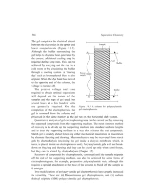 Electrophoresis 369 
Figure 16.4 The process of disc gel electrophoresis. (A) Before 
electrophoresis. (B) Movement of chloride, glycinate, and protein through 
the stacking gel. (C) Separation of protein samples by the resolving gel. 
16.2.5.1 Discontinuous Gel Electrophoresis 
The experimental arrangement for ‘disc’ gel electrophoresis is shown in 
Figure 16.4. The three significant differences in this method are: 
 