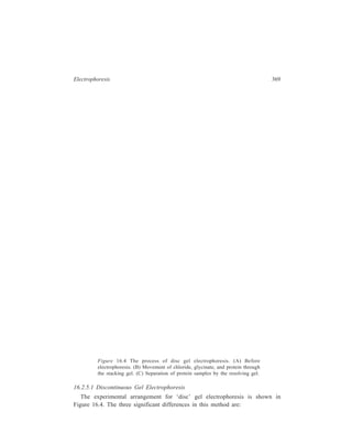 370 Separation Chemistry 
(i) There are now two gel layers, a lower or resolving gel and an upper or 
stacking gel. 
(ii) The buffers used to prepare the two gel layers are of different ionic 
strength and pH. 
(iii) The stacking gel has a lower acrylamide concentration, so that its pore 
sizes are larger. 
These three changes in the experimental conditions cause the formation of 
highly concentrated bands of sample in the stacking gel and greater resolution of 
the sample components in the lower gel in the following manner. 
The sample is usually dissolved in glycine-chloride buffer having the pH range 
of 8 to 9, before being loaded on the gel. Glycine exists primarily in two forms 
at this pH, zwitterion and an anion, as shown by the equation: 
H3NCH2COO– H2NCH2COO– + H+ 
The average charge on glycine anions at pH 8.5 is about –0.2. Upon turning on 
the voltage, buffer ions (glycinate and chloride) and protein or nucleic acid sample 
move into the stacking gel, which has pH of 6.9. This entry into the upper gel 
causes the equilibrium of the above reaction to shift toward the left, increasing the 
concentration of glycine zwitterion, which has no net charge and hence no 
electrophoretic mobility. In order to maintain a constant current in the 
electrophoresis system, a flow of anions must be maintained. Since most proteins 
and nucleic acid samples are still anionic at pH 6.9, they replace glycinate as 
mobile ions. Therefore, the relative ion mobilities in the stacking gel are chloride 
 protein or nucleic acid sample  glycinate. The sample will tend to accumulate 
and form a thin, concentrated band sandwiched between the chloride and glycinate 
as they move through the upper gel. Since the acrylamide concentration in the 
stacking gel is low (2 to 3%), there is little impediment to the mobility of the large 
sample molecules. 
Now, when the ionic front reaches the lower gel with buffer of pH 8 to 9, the 
glycinate concentration increases and anionic glycine and chloride carry the major 
proportion of the current. The protein or nucleic acid sample molecules, now in a 
narrow band, encounter both an increase in pH and a decrease in pore size. The 
increase in pH would, of course, tend to increase electrophoretic mobility of the 
sample molecules, but the smaller pore size will decrease their mobility. The 
relative rate of movement of anions in the lower gel is chloride  glycinate  
protein or nucleic acid sample. The separation of sample components in the 
resolving gel occurs as already described under gel electrophoresis. Each 
component has its own value of charge/mass ratio and a discrete molecular size 
and shape, which will directly influence its mobility. 
 
