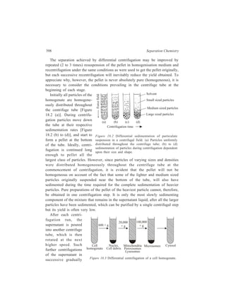 Centrifugation 399 
increased centrifugal fields result in the sedimentation of the intermediate and 
finally the smallest and least dense particles. 
Figure 18.3 illustrates the differential centrifugation of a cell homogenate 
leading to the separation and isolation of the common cell organelles. For most 
biochemical applications, the rotor chamber must be kept at low temperatures to 
maintain the native structure and function of each cellular organelle and its 
component biomolecules. A high-speed centrifuge equipped with a fixed-angle 
rotor is most appropriate for the first two centrifugations at 600 × g and 20,000 
× g. The final centrifugation at 100,000 × g to sediment microsomes and 
ribosomes must be done in an ultracentrifuge. The 100,000 × g supernatant, 
cytosol, is the soluble portion of the cell and consists of soluble proteins and 
smaller molecules. 
18.3.3 Density gradient centrifugation 
This technique permits the separation of components of multicomponent 
mixtures of macromolecules. The initial concentration of the sample is the same 
throughout the length of the centrifuge tube in differential centrifugation, and 
clearcut separations of macromolecules are seldom obtained when differential 
centrifugation is applied to samples with more than one component, since large 
particles that sediment faster pass through a medium consisting of solvent and 
particles of smaller size. This is avoided in density gradient centrifugation in 
which the sample is centrifugated in a fluid medium that gradually increases in 
density from top to bottom. There are two methods of density gradient 
centrifugation, the rate zonal technique and isopycnic technique and either of the 
two can be used when a quantitative separation of all the components of a mixture 
of particles is required. 
Sample 
zone 
Small sized particles 
Medium sized particles 
Large sized particles 
1. Centrifuge 
tube filled 
with density 
gradient 
solution 
2. Sample 
applied to 
top of 
gradient 
3. Under centrifugal 
force, particles move 
at different rates 
depending upon 
their mass until the 
particles have reached 
their isopycnic position 
in the gradient 
Figure 18.4 Rate zonal centrifugation in a 
preformed liquid density gradient. 
Force field 
Density 
gradient 
 
