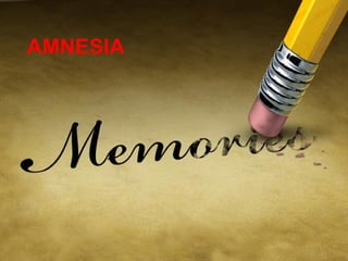 AMNESIA

 