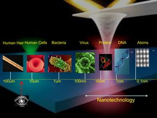 Human Hair Human Cells   Bacteria     Virus    Protein   DNA   Atoms




100um        10um        1um        100nm     10nm       1nm   0.1nm



                                              Nanotechnology
 