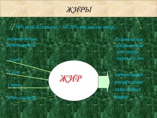 ЖИРЫ Энергетическая -триглицериды Пластическая -фосфолипиды -холестерин -жирные к- ты ( ~ 50% всей Е;запасы  ~ 10-20% от массы тела) ЖИР Холод Голод Стресс Физ. нагрузка интенсивное расщепление запасенных жиров 