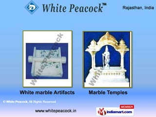 Art Sculptures by White Peacock Jaipur