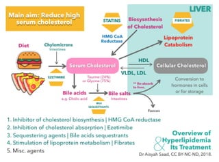 Overview of Hyperlipidemia and Its Treatment