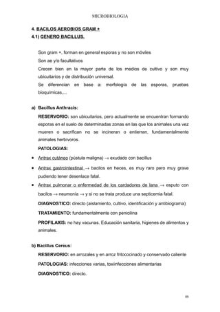 MICROBIOLOGIA

4. BACILOS AEROBIOS GRAM +
4.1) GENERO BACILLUS.


   Son gram +, forman en general esporas y no son móviles
   Son ae y/o facultativos
   Crecen bien en la mayor parte de los medios de cultivo y son muy
   ubicuitarios y de distribución universal.
   Se   diferencian   en     base   a:   morfología   de   las   esporas,   pruebas
   bioquímicas,...


a) Bacillus Anthracis:
   RESERVORIO: son ubicuitarios, pero actualmente se encuentran formando
   esporas en el suelo de determinadas zonas en las que los animales una vez
   mueren o sacrifican no se incineran o entierran, fundamentalmente
   animales herbívoros.
   PATOLOGIAS:

• Antrax cutáneo (pústula maligna) → exudado con bacillus
• Antrax gastrointestinal → bacilos en heces, es muy raro pero muy grave
   pudiendo tener desenlace fatal.
• Antrax pulmonar o enfermedad de los cardadores de lana → esputo con
   bacilos → neumonía → y si no se trata produce una septicemia fatal.

   DIAGNOSTICO: directo (aislamiento, cultivo, identificación y antibiograma)

   TRATAMIENTO: fundamentalmente con penicilina

   PROFILAXIS: no hay vacunas. Educación sanitaria, higienes de alimentos y
   animales.


b) Bacillus Cereus:
   RESERVORIO: en arrozales y en arroz fritococinado y conservado caliente

   PATOLOGIAS: infecciones varias, toxiinfecciones alimentarias

   DIAGNOSTICO: directo.




                                                                                 46
 