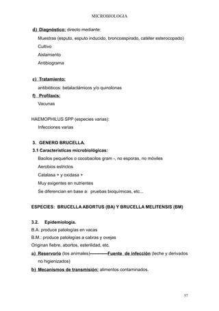 MICROBIOLOGIA


d) Diagnóstico: directo mediante:
   Muestras (esputo, esputo inducido, broncoaspirado, catéter esterocopado)
   Cultivo
   Aislamiento
   Antibiograma


e) Tratamiento:
   antibióticos: betalactámicos y/o quinolonas
f) Profilaxis:
   Vacunas


HAEMOPHILUS SPP (especies varias):
   Infecciones varias


3. GENERO BRUCELLA.
3.1 Características microbiológicas:
   Bacilos pequeños o cocobacilos gram -, no esporas, no móviles
   Aerobios estrictos
   Catalasa + y oxidasa +
   Muy exigentes en nutrientes
   Se diferencian en base a: pruebas bioquímicas, etc...


ESPECIES: BRUCELLA ABORTUS (BA) Y BRUCELLA MELITENSIS (BM)


3.2.   Epidemiología.
B.A: produce patologías en vacas
B.M.: produce patologías a cabras y ovejas
Originan fiebre, abortos, esterilidad, etc.
a) Reservorio (los animales)------------Fuente de infección (leche y derivados
   no higienizados)
b) Mecanismos de transmisión: alimentos contaminados.



                                                                              57
 