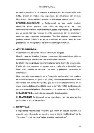 MICROBIOLOGIA

  en medios de cultivo, la colonia parece un huevo frito. Atraviesa los filtros de
  0,45µ. Crecen en medios muy especiales. Se diferencian por pruebas
  bioquímicas. No se podrían tratar con penicilinas por no tener pared.
  EPIDEMIOLOGICAMENTE, lo fundamental, es que puede producir
  neumonía     atípica   primaria,   más   difícil   de   diagnosticar,   es   como
  consecuencia de haber colonizado las mucosas respiratorias. Se transmite
  por vía aérea. No hay vacunas, los más susceptibles son los ancianos y
  personas con problemas respiratorios. También algunos mycoplasmas
  pueden producir infección en el tracto urinario, en raros casos. El más
  probable de los mycoplasmas es “el mycoplasma pneumoniae”.


4. GENERO CHALMYDIA.
  Su característica es que es parásito intracelular obligado.
  Cuando crece en la célula huésped, forma unas inclusiones intracelulares
  llamadas cuerpos elementales. Crece en cultivos celulares.
  La Chalmydia que produce “neumonía atípica” es la chalmydia pneumoniae.
  Puede colonizar mucosas, en algunos casos produce la enfermedad y en
  otros sólo coloniza la mucosa. Los loros y periquitos transmiten la
  enfermedad.
  Otra chalmydia muy conocida es la “chalmydia trachomatis”, que produce
  en el hombre uretritis no gonocócica (ETS), tracoma (esta enfermedad está
  relacionada con zonas de esparto), que es una queratoconjuntivitis. En la
  mujer enfermedades asintomáticas como la cervicitis (ETS), también puede
  producir enfermedad pélvica inflamatoria con la consecuencia de esterilidad.
  El DIAGNOSTICO es indirecto, investigación de anticuerpos.

  El TRATAMIENTO fundamental es por macrólidos. No hay vacunas. La
  profilaxix es la educación sanitaria.


5. RICKETTSIAS.
  Son parásitos intracelulares obligados, que crecen en cultivos celulares. La
  especie más interesante en nuestro entorno (zona mediterránea) es la
  “Rickettsia Conorii”, produce” fiebre botonosa mediterránea”



                                                                                 64
 