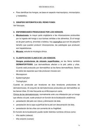 MICROBIOLOGIA

•    Para identificar los hongos, se basa en aspecto macroscópico, microscópico
     y metabólico.


3. SINAPSIS SISTEMATICA DEL REINO FUNGI.
Ver fotocopia.


4. ENFERMEDADES PRODUCIDAS POR LOS HONGOS.
1.   Micotoxicosis: la mayor parte englobaría a las intoxicaciones producidas
     por la ingesta del hongo o sus toxinas vertidas a los alimentos. Si el hongo
     es de gran parte ej, amonitas o boletus, hay aspergillus que son de pequeño
     tamaño que pueden producir intoxicaciones, las patologías que producen
     son hepatotóxicas.
2.   Micosis: estudia la micología clínica.


5. CLASIFICACION CLINICA DE LOS HONGOS.
     Hongos productores de micosis superficiales: se les llama también
     DERMATOFITOSIS. Las dermatofitosis afectan a la piel, pelos y uñas.
     Cuando está producido por dermatofitos se les llama dermatofitosis. Dentro
     de estos las especies que más producen micosis son:
-    Microsporum
-    Epidermophyton
-    Trichophyton
Cuando es producida por levaduras se dice levaduras productoras de
dermatomicosis. Al conjunto de dermatomicosis producidos por dermatofitos se
les llaman tiñas. El más frecuente es el Microsporum canis.
Clínica de las dermatomicosis: normalmente ante una infestación por un hongo
que afecta a la piel, suele producir en función de la localización anatómica:
•    parasitación del pelo con rotura y eliminación de éste,
•    parasitación de la capa superficial de la piel con descamación de ésta,
•    parasitación de las uñas con aumento de su fragilidad.
En función de la localización puede recibir distintos nombres clínicos como:
-    tiña capitis (cabeza)
-    tiña corporis (cuerpo)


                                                                                74
 