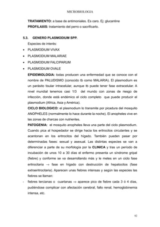 MICROBIOLOGIA

    TRATAMIENTO: a base de antimoniales. Es caro. Ej: glucantine
    PROFILAXIS: tratamiento del perro o sacrificarlo.


5.3.   GENERO PLASMODIUM SPP.
    Especies de interés:
•   PLASMODIUM VIVAX
•   PLASMODIUM MALARIAE
•   PLASMODIUM FALCIPARUM
•   PLASMODIUM OVALE
    EPIDEMIOLOGIA: todas producen una enfermedad que se conoce con el
    nombre de PALUDISMO (conocido tb como MALARIA). El plasmodium es
    un parásito tisular intracelular, aunque tb puede tener fase extracelular. A
    nivel mundial tenemos casi 1/3         del mundo con zonas de riesgo de
    infección, donde está endémico el ciclo completo que puede producir el
    plasmodium (Africa, Asia y América).
    CICLO BIOLOGICO: el plasmodium lo transmite por picadura del mosquito
    ANOPHELES (normalmente lo hace durante la noche). El anopheles vive en
    las zonas de charcas con nutrientes.
    PATOGENIA: el mosquito anopheles lleva una parte del ciclo plasmodium.
    Cuando pica al hospedador se dirige hacia los eritrocitos circulantes y se
    acantonan en los eritrocitos del hígado. También pueden pasar por
    determinadas fases: sexual y asexual. Las distintas especies se van a
    diferenciar a parte de su morfología por la CLINICA y tras un período de
    incubación de unos 10 a 30 días el enfermo presenta un síndrome gripal
    (fiebre) y conforme se va desarrollando más y le metes en un ciclo fase
    eritrocitaria → fase en hígado con destrucción de hepatocitos (fase
    extraeritrocitaria). Aparecen unas fiebres intensas y según las especies las
    fiebres se llaman:
-   fiebres tercianas o cuartanas ⇒ aparece pico de fiebre cada 3 ó 4 días,
    pudiéndose complicar con afectación cerebral, fallo renal, hemoglobinemia
    intensa, etc.




                                                                              82
 