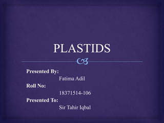 Presented By:
Fatima Adil
Roll No:
18371514-106
Presented To:
Sir Tahir Iqbal
 