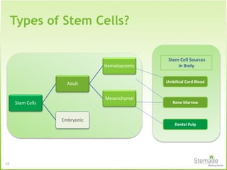 Umbilical Cord Blood
Bone Marrow
Dental Pulp
Stem Cell Sources
in Body
Stem Cells
Adult
Hematopoietic
Mesenchymal
Embryonic
13
Types of Stem Cells?
 
